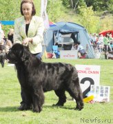 Превью фото № 126238