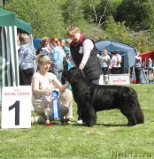 Превью фото № 126246