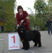 Превью фото № 126256