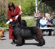 Превью фото № 126260