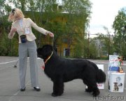 Превью фото № 126262