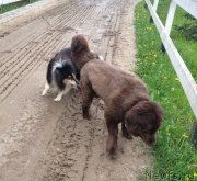 Превью фото № 126276