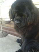 Превью фото № 126278