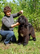 Превью фото № 126283