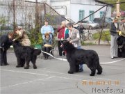 Превью фото № 126308