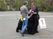 Превью фото № 126314