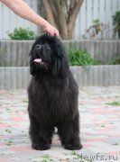 Превью фото № 126373