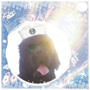 Превью фото № 126384