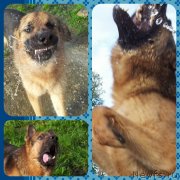 Превью фото № 126387