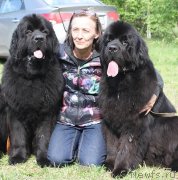 Превью фото № 126389