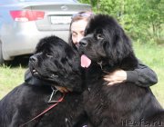 Превью фото № 126391