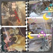 Превью фото № 126392