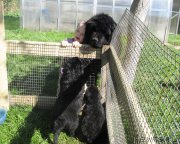 Превью фото № 126440