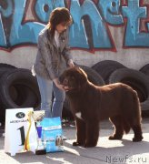 Превью фото № 126492