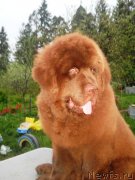 Превью фото № 126510