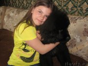 Превью фото № 126522