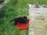 Превью фото № 126523