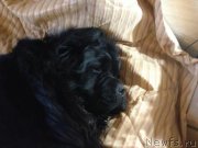 Превью фото № 126546