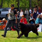 Превью фото № 126619