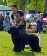 Превью фото № 126620