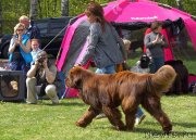 Превью фото № 126638