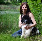 Превью фото № 126656