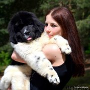 Превью фото № 126659