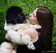 Превью фото № 126688