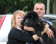 Превью фото № 126732