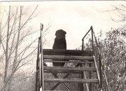 Превью фото № 126803