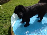 Превью фото № 126816