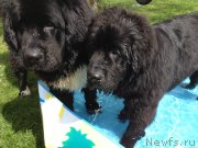 Превью фото № 126818