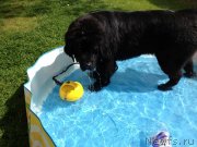 Превью фото № 126819