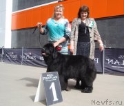 Превью фото № 126823