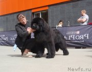 Превью фото № 126830