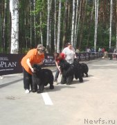 Превью фото № 126842