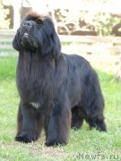 Превью фото № 126904