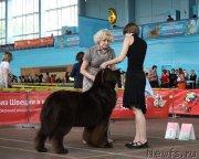 Превью фото № 126910