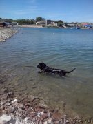 Превью фото № 126936