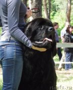 Превью фото № 126985