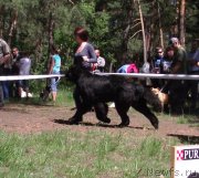 Превью фото № 126990