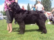 Превью фото № 126998