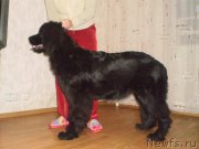 Превью фото № 127008