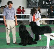 Превью фото № 127050