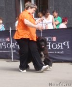 Превью фото № 127126