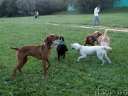 Превью фото № 127143