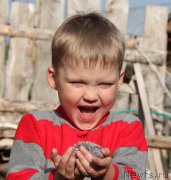 Превью фото № 127179