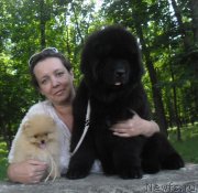 Превью фото № 127311