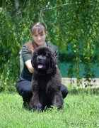 Превью фото № 127325