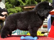 Превью фото № 127423